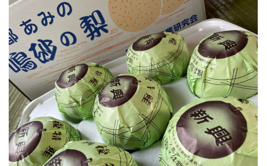 【先行予約／数量限定100】新興梨　5kg（2026年10月中旬～発送）