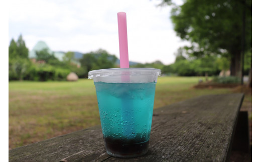 道の駅　丹後王国「食のみやこ」応援感謝券（500円券×6枚）