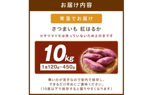 さつまいもオブザイヤー紅はるか部門全国1位 京都・ 丹後産　さつまいも 紅はるか　土付き（1本120～450g程度）10kg