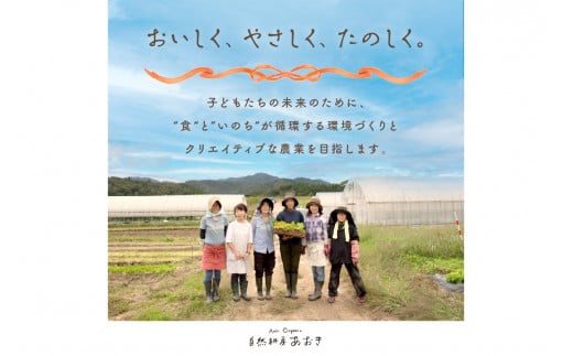 【年4回定期便】春夏秋冬自然栽培野菜セット(年4回)4～5人用