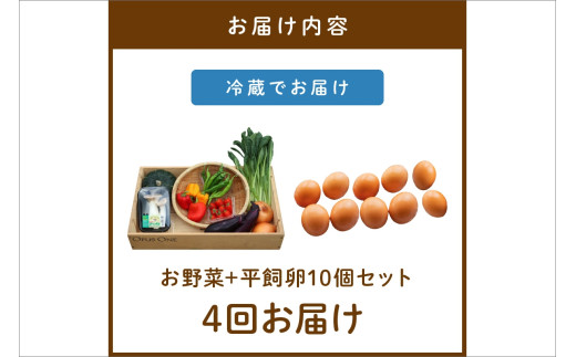 ãå®æäŸ¿ãåèš4åãå±ããææ©éèã»äº¬éèã®ã京éœãããããã®ãéèïŒå¹³é£Œçå10åã®è©°ãåãã