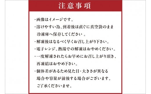 【先行予約】京丹後産　『海の京都』の逸品！！　活白イカ姿造り（クリスタル白いか）1人前サイズ2杯（150g前後）（2026年6月上旬～発送）