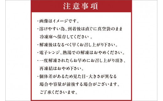 日本海産『海の京都』の逸品！！　活白イカ姿造り（クリスタル白いか）中大サイズ 2杯（250g前後）（2027年6月上旬～発送） ふるさと納税 海鮮 鮮度抜群 新鮮 海鮮 いか イカ 簡単調理 生産者応援 送料無料 生食 魚介類 活イカ