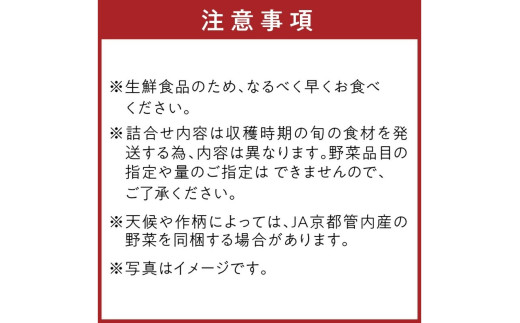 直売所直送 「京都・京丹後産 季節の野菜」お任せ詰め合わせBOX（5品） 春夏秋冬定期便4回 コシヒカリ精米 京野菜 季節 新鮮 ふるさと納税 野菜