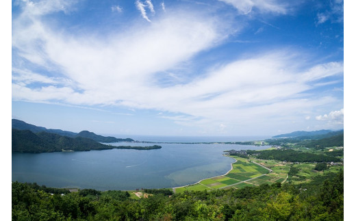 ひらひらミルピィシャーベット6個セット