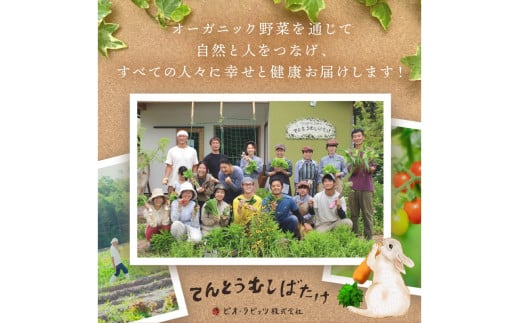 【先行予約：8月配送】＜てんとうむしばたけ＞夏のオーガニック野菜セット　有機野菜6～7種前後