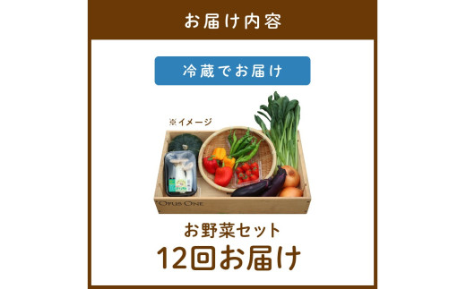 【定期便】合計12回お届け　有機野菜・京野菜の『京都やおよし』のお野菜詰め合わせ