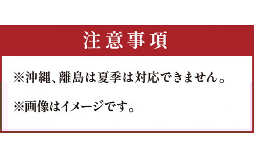 丹後ジャージー牧場直送！搾りたてジャージー牛乳から作る濃厚ミルクのジャージーアイス6個セット