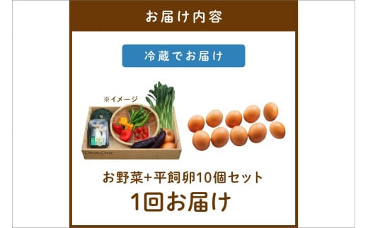 有機野菜・京野菜の『京都やおよし』のお野菜＆平飼玉子10個の詰め合わせ
