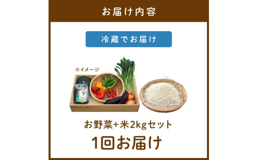 ææ©éèã»äº¬éèã®ã京éœãããããã®ãéèãšç±³2kgã®è©°ãåãã