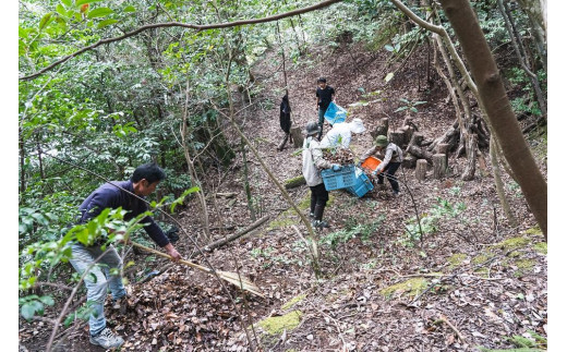 ＜てんとうむしばたけ＞オーガニック野菜セット　有機野菜6～7種(2人用)