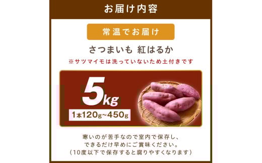 さつまいもオブザイヤー紅はるか部門全国1位 京都・ 丹後産　さつまいも 紅はるか　土付き（1本120～450g程度）5kg