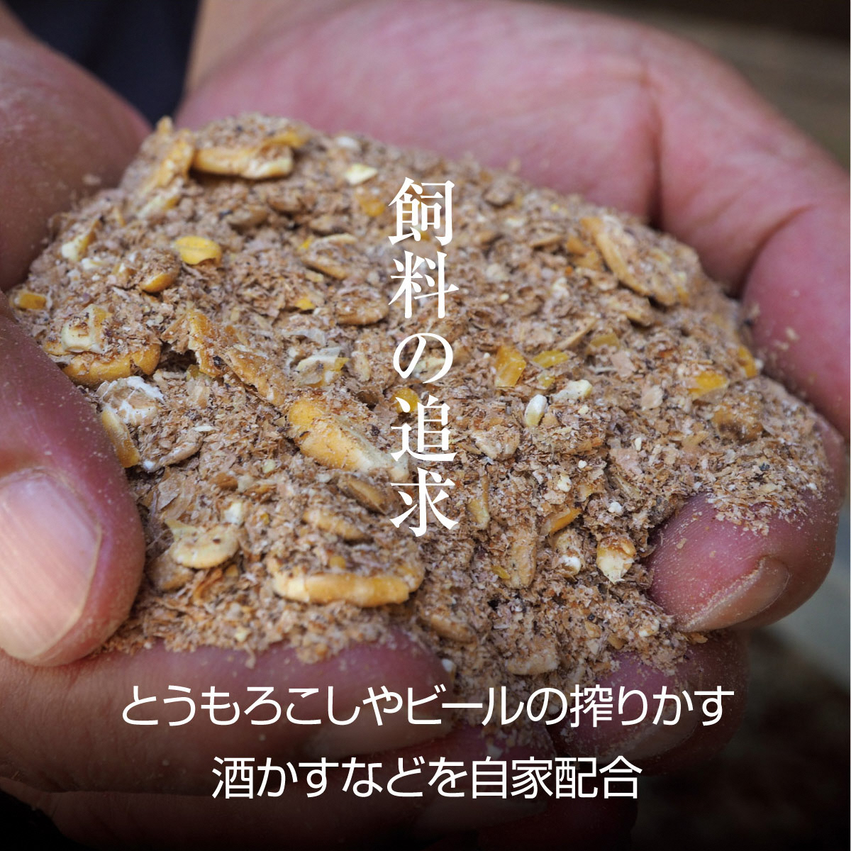 牛肉 京都もり牛 和牛 ホルモン 1kg 小分け 京都府産 国産 国産牛 黒毛和牛 小腸 焼き肉 焼肉 BBQ バーベキュー もつ もつ鍋 鍋 お肉 牛 肉 ブランド ギフト 冷凍 京都