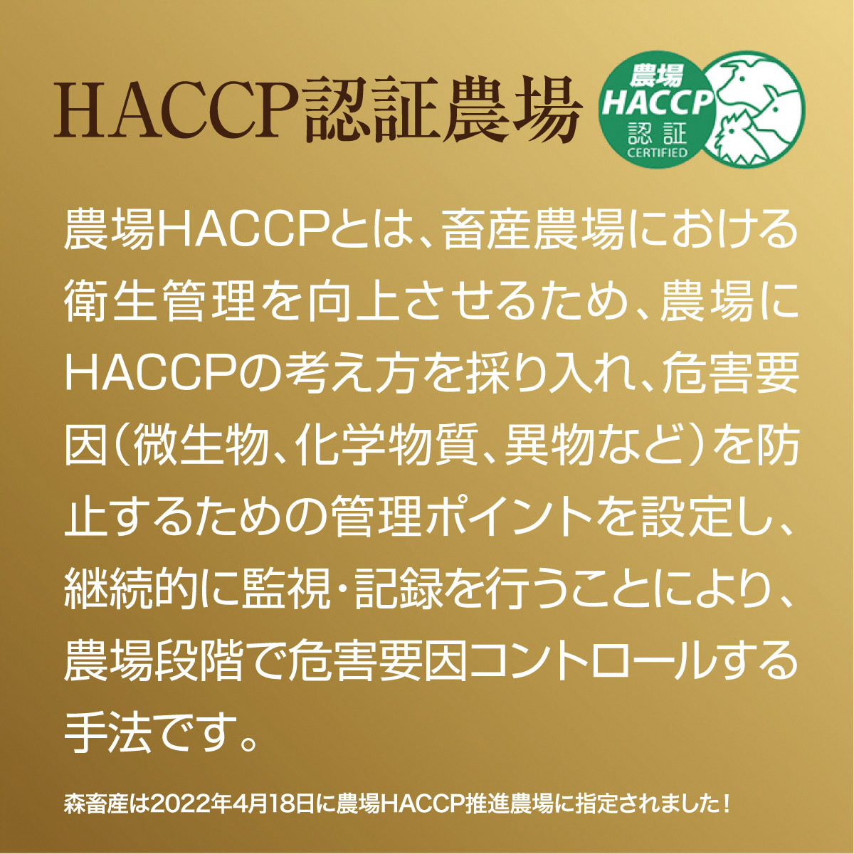 牛肉 京都もり牛 和牛 ホルモン 1kg 小分け 京都府産 国産 国産牛 黒毛和牛 小腸 焼き肉 焼肉 BBQ バーベキュー もつ もつ鍋 鍋 お肉 牛 肉 ブランド ギフト 冷凍 京都