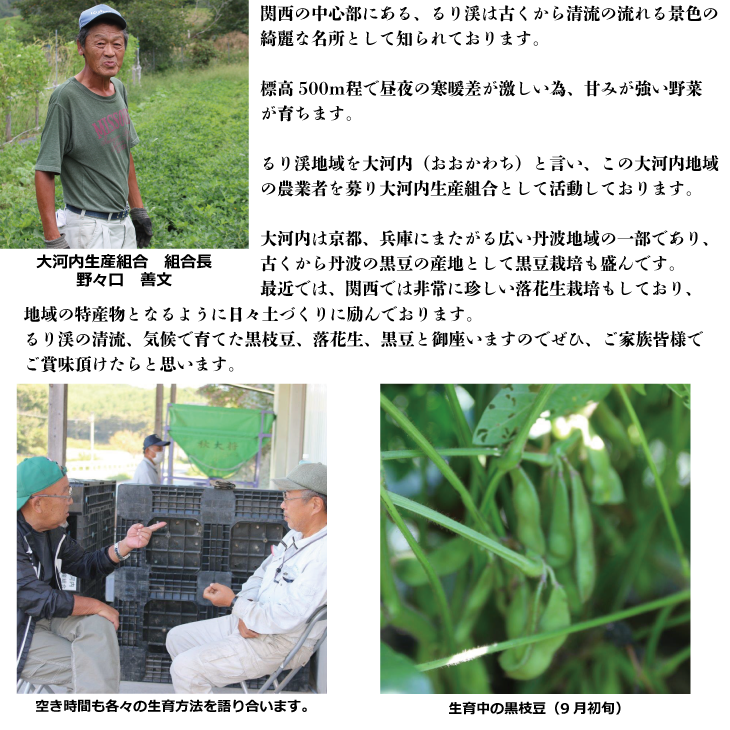 落花生 京都 2024年 先行予約 生落花生 るり渓 大河内生産組合発 丹波 野菜 国産 ピーナッツ おつまみ 先行 2024 ※北海道・沖縄・離島への発送不可