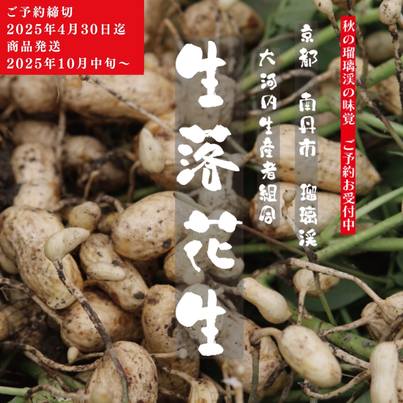 落花生 京都 2025年 先行予約 生落花生 るり渓 大河内生産組合発 丹波 野菜 国産 ピーナッツ おつまみ 先行 ※北海道・沖縄・離島への発送不可