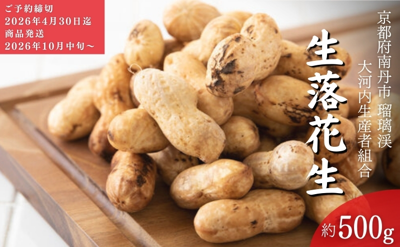 落花生 京都 2026年 先行予約 生落花生 るり渓 大河内生産組合発 丹波 野菜 国産 ピーナッツ おつまみ 先行 ※北海道・沖縄・離島への発送不可