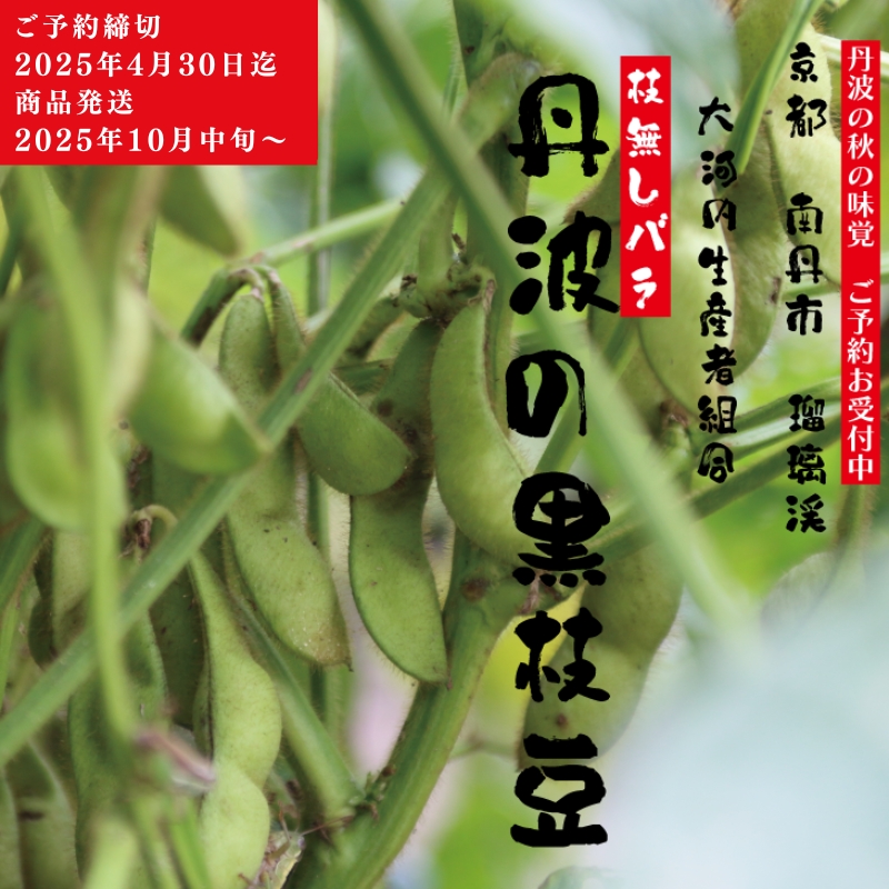 枝豆 京都 2025年 先行予約 丹波黒枝豆 バラ 約500g るり渓 大河内生産組合発 丹波 野菜 国産 生 黒枝豆 おつまみ えだまめ エダマメ 先行 ※北海道・沖縄・離島への発送不可