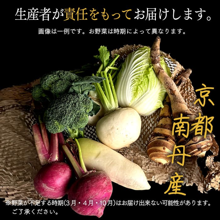 野菜セット 産直 京野菜 おまかせセット L 野菜 4種 セット 詰め合わせ 旬野菜 季節の野菜 減農薬栽培 旬 おまかせ 京都