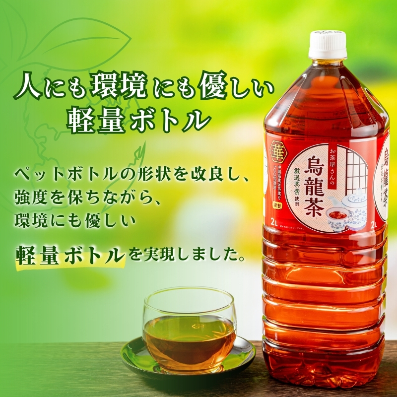 【ふるさと納税】烏龍茶 ウーロン茶 2L 12本 飲み物 飲料 ドリンク 水分補給 ヘルシー 食事のおともに