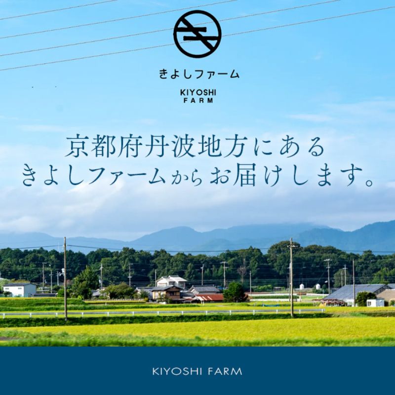 【数量限定販売】乳酸菌米コシヒカリと京野菜おまかせセット　≪予約≫　※11月1日より順次発送			 お米 ブランド米 銘柄米 精米 白米 京野菜セット 野菜セット 旬の京野菜 旬の野菜 グルメ 