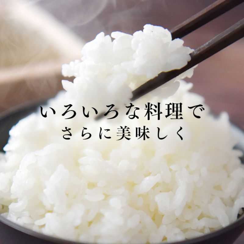 【数量限定】乳酸菌米コシヒカリ5kg		
