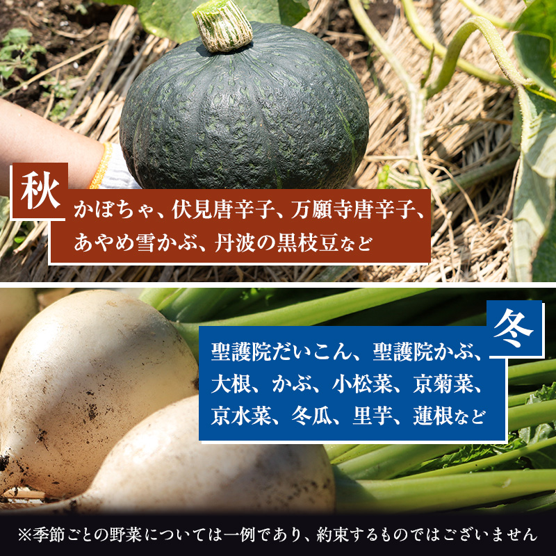 ＜京野菜の京都やおよし＞丹波野菜詰め合わせセット《栽培期間中農薬不使用 野菜》※北海道・沖縄・離島への発送不可