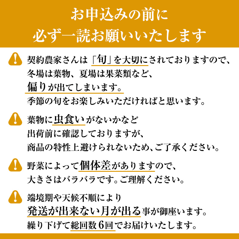 【定期便6回】＜京野菜の京都やおよし＞丹波野菜詰め合わせセット《栽培期間中農薬不使用 野菜》※北海道・沖縄・離島への発送不可