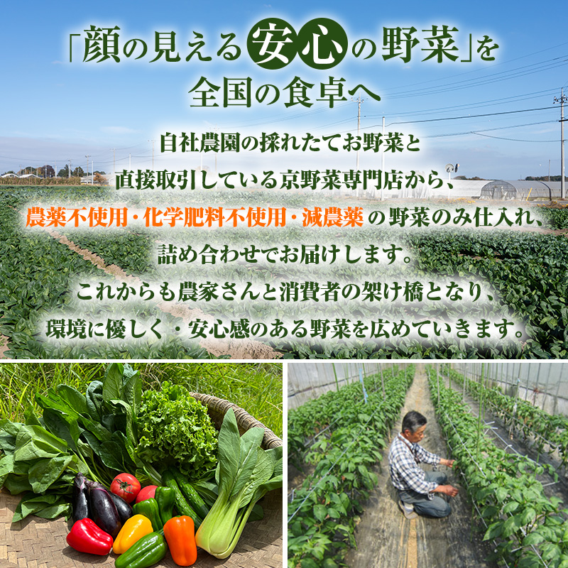 【定期便4回】＜京野菜の京都やおよし＞丹波野菜詰め合わせ 美山牛乳のセット《栽培期間中農薬不使用 野菜》※北海道・沖縄・離島への発送不可