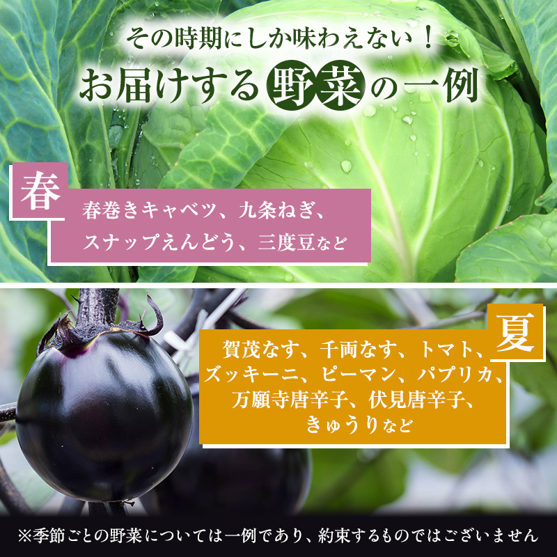 【定期便12回】＜京野菜の京都やおよし＞丹波野菜詰め合わせ 平飼い卵のセット《栽培期間中農薬不使用 野菜》※北海道・沖縄・離島への発送不可