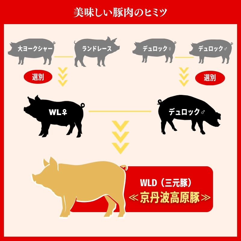 国産豚肉 しゃぶしゃぶ用 ロース 1kg 京丹波高原豚