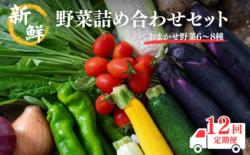 【定期便12回】新鮮 野菜 詰め合わせ セット