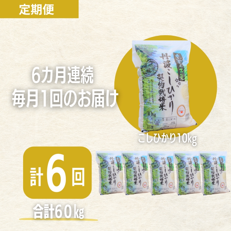 【6カ月定期便】令和6年産 新米 京都丹波産 こしひかり 10kg 合計60kg