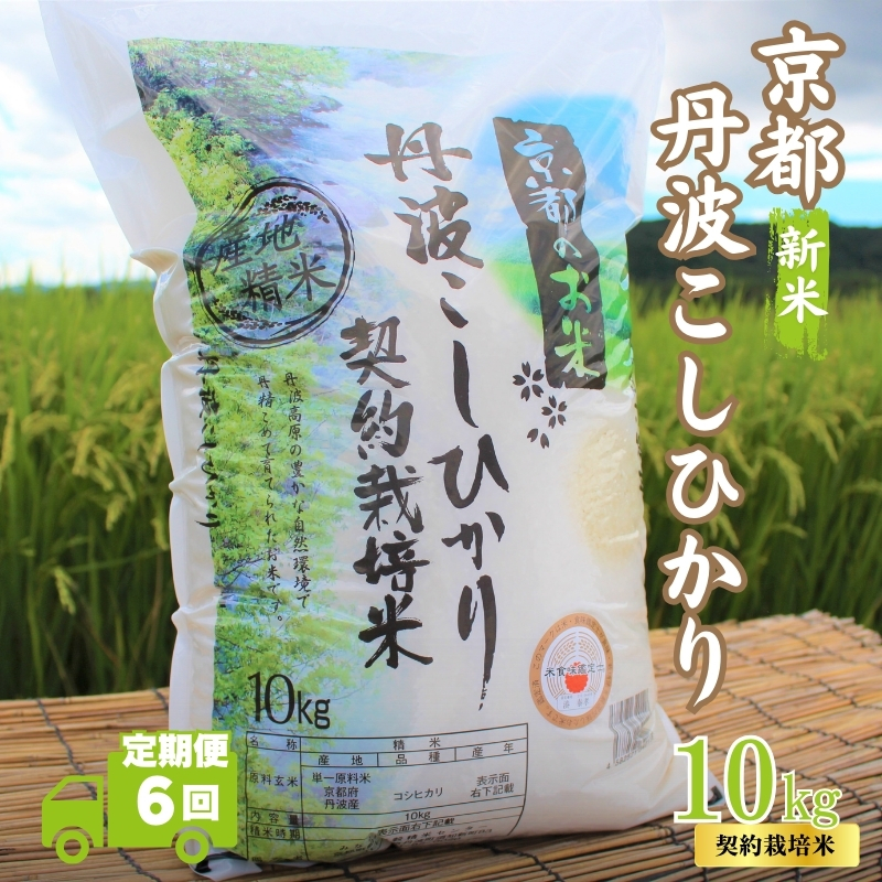 【6カ月定期便】令和6年産 新米 京都丹波産 こしひかり 10kg 合計60kg