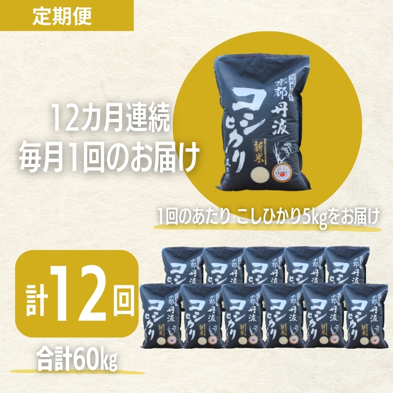 【12カ月定期便】令和6年産 新米 京都丹波産 こしひかり 5kg 合計60kg