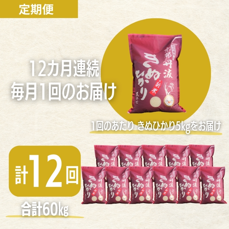 【12カ月定期便】令和6年産 新米 京都丹波産 きぬひかり 5kg 合計60kg