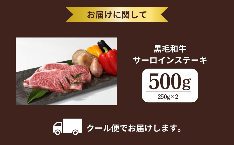 京都府産 黒毛和牛 サーロインステーキ 500g