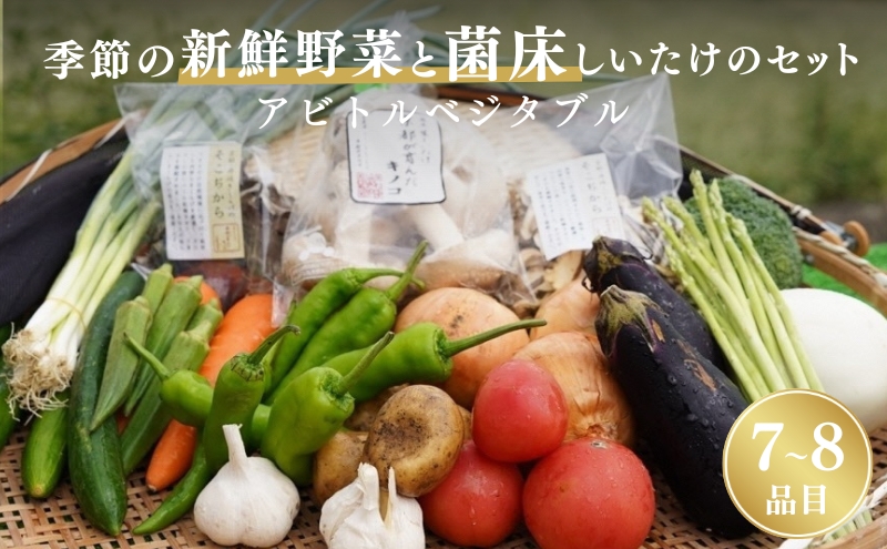 季節の新鮮野菜と菌床しいたけのセット アビトルベジタブル　野菜 詰め合わせ 旬 新鮮 京都府 南丹市