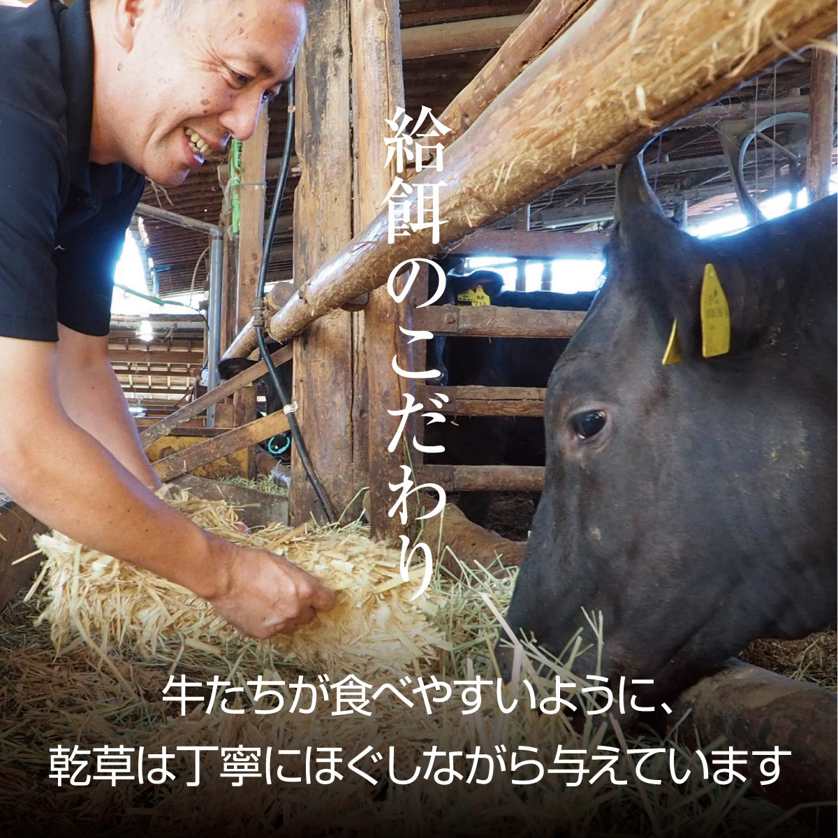 京都府産 京都もり牛 切り落としスライス 600g  カレー シチュー 牛丼 焼肉 鍋 バーベキュー 焼き肉 冷凍 牛肉 肉 国産牛 京都 国産 ギフト 黒毛和牛　南丹市×「甘神さんちの縁結び」コラボクリアファイルとコースターのセット付き！