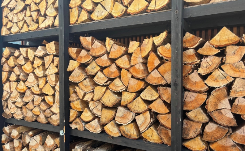 鄒主アア逕コ逕」 繧ォ繧キ 荵セ辯・阮ェ 40cm