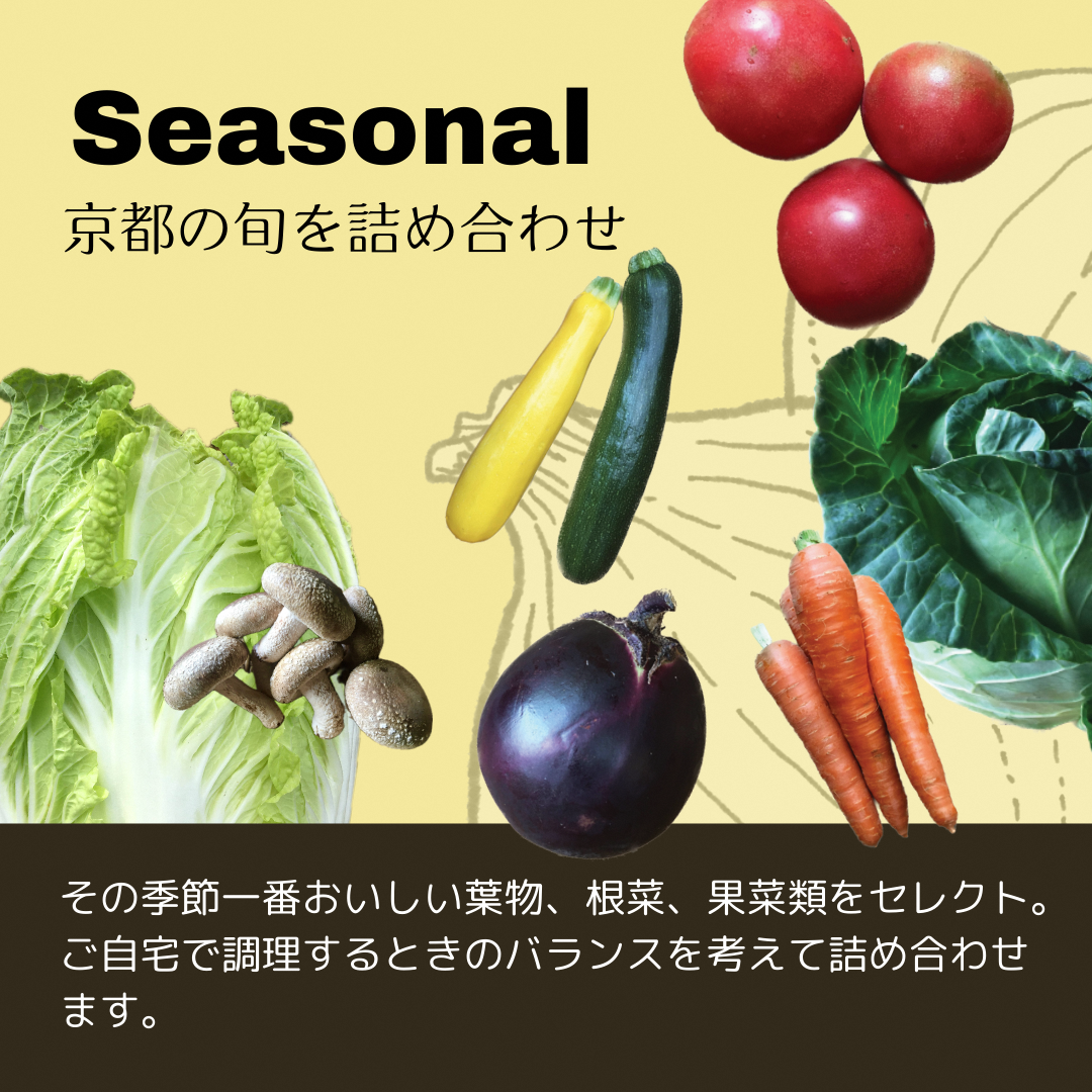 Nantan Sustainable Selection 野菜セット 【10回定期便】