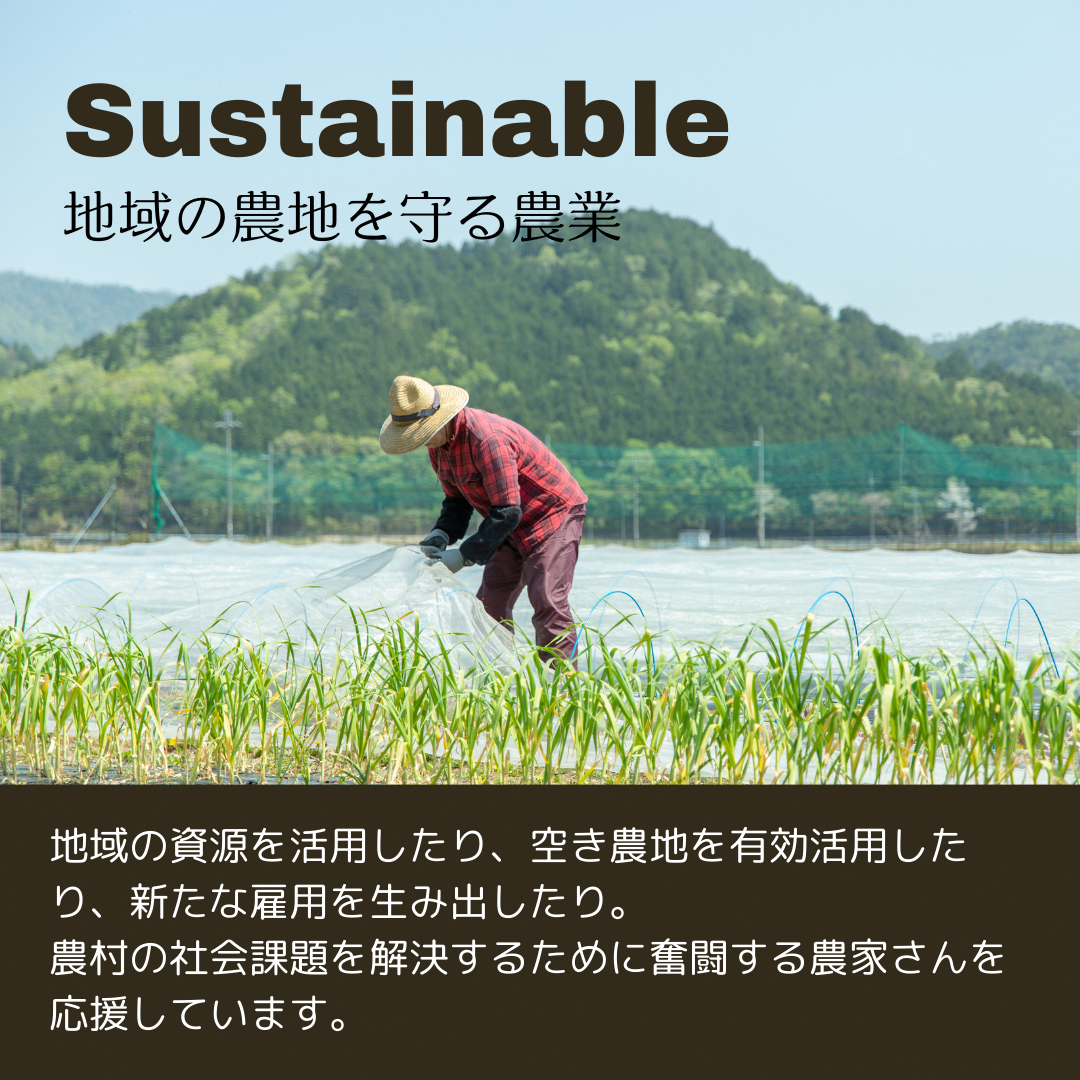 Nantan Sustainable Selection 野菜セット 【10回定期便】