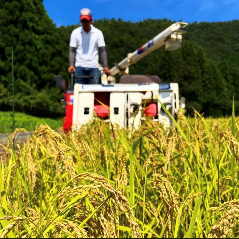 京・美山「碌の米」 コシヒカリ 10kg 米 お米 白米 精米 京都府美山町産 令和6年産