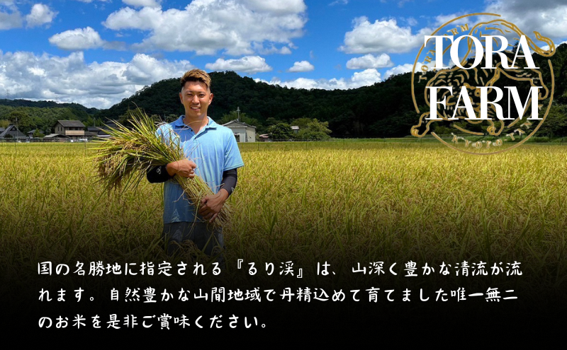 令和7年産 京都丹波産キヌヒカリ 5kg 米 ごはん きぬひかり