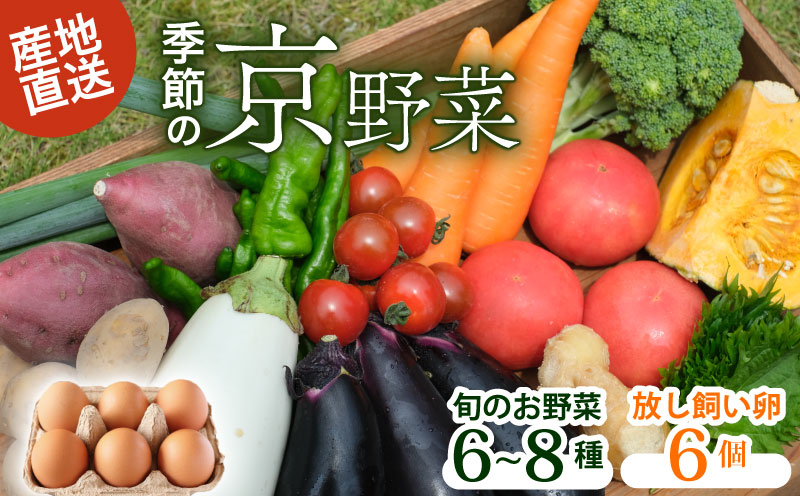 野菜セット ネラの卵6個入り