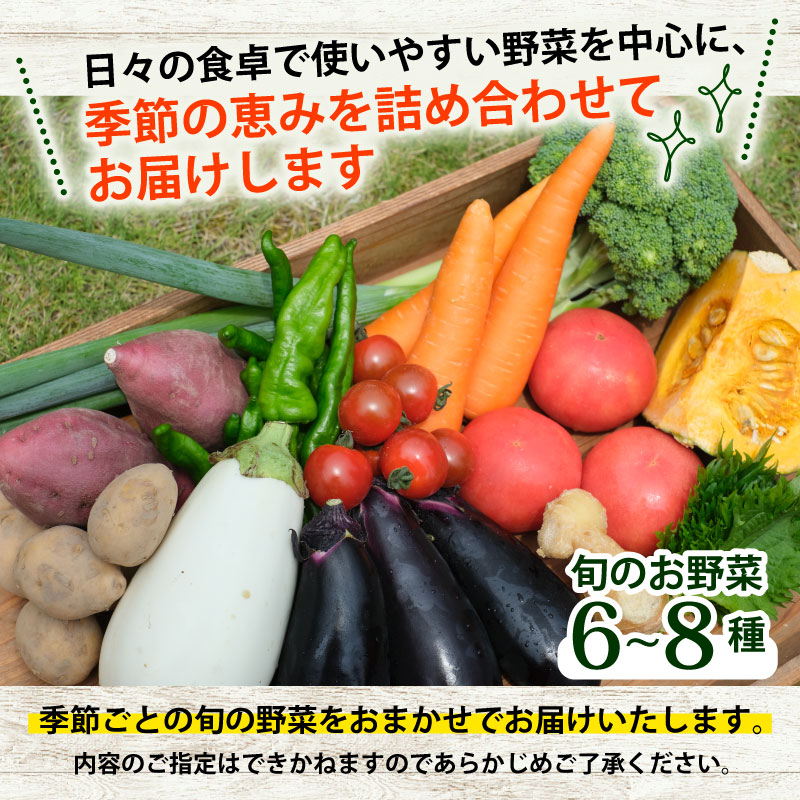 野菜セット＋平飼い卵6個
