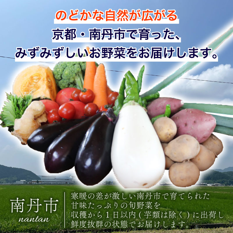 【定期便3回】野菜セット ネラの卵6個入り