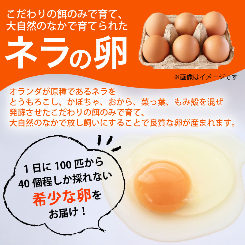 【定期便12回】野菜セット 平飼い卵 6個入り