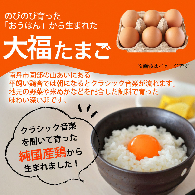 【定期便12回】野菜セット 平飼い卵 6個入り