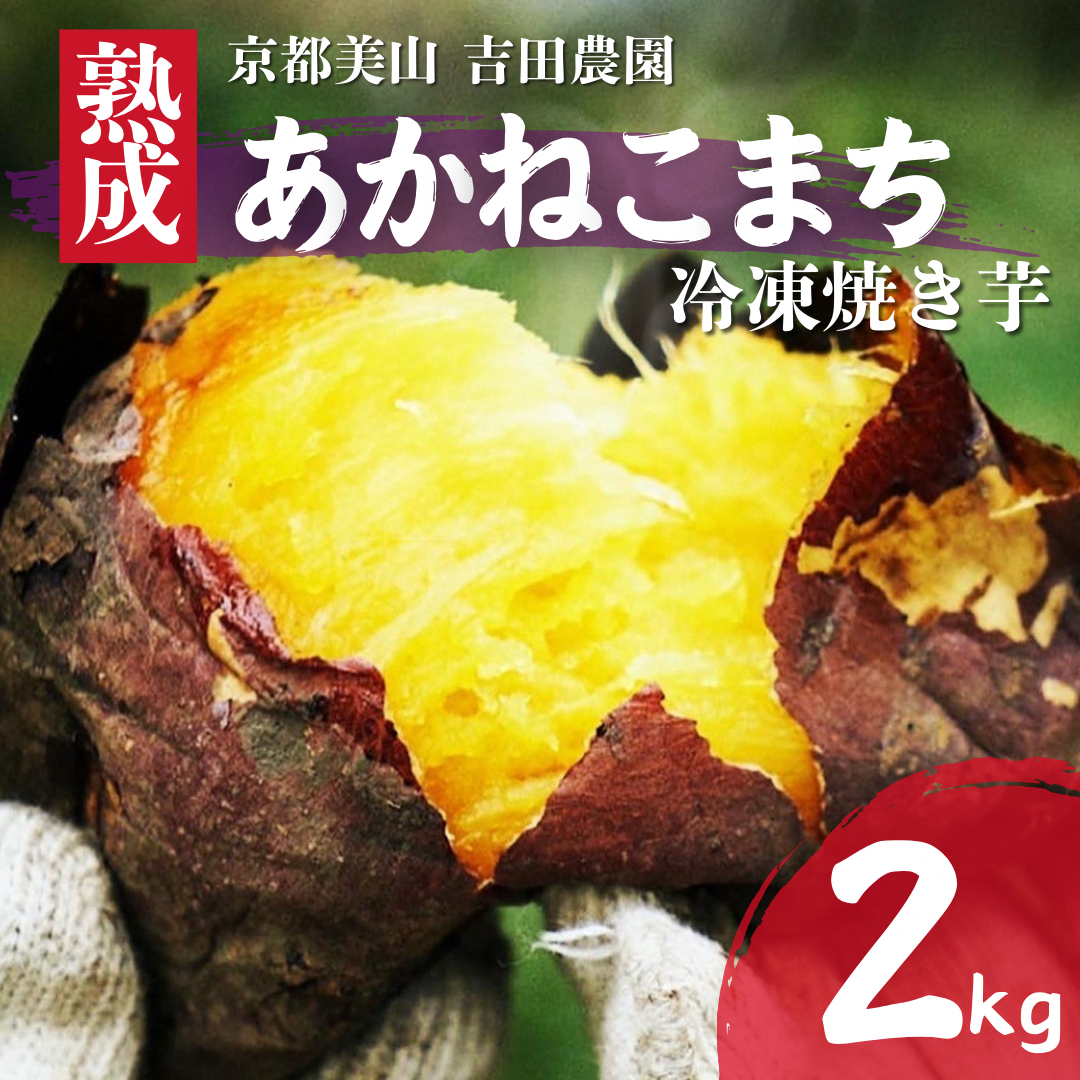 産地直送 冷凍焼き芋 2kg 熟成 あかねこまち 京都丹波産 【※予約商品25年12月より順次発送】 やきいも 焼き芋 さつまいも おやつ